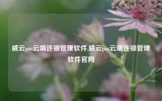 威云pos云端连锁管理软件,威云pos云端连锁管理软件官网