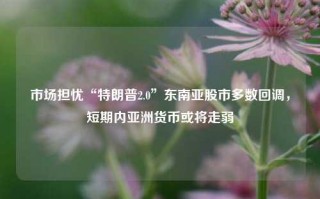 市场担忧“特朗普2.0”东南亚股市多数回调，短期内亚洲货币或将走弱