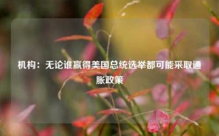 机构：无论谁赢得美国总统选举都可能采取通胀政策