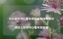 什么软件可以看电视直播,网络电视安装什么软件可以看电视直播