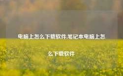 电脑上怎么下载软件,笔记本电脑上怎么下载软件