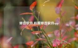 修音软件,后期修音软件app