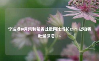 宁波港10月集装箱吞吐量同比增长12.6% 货物吞吐量微增0.1%