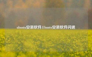 ubuntu安装软件,Ubuntu安装软件闪退