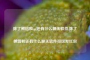 除了微信和qq还有什么聊天软件,除了微信和还有什么聊天软件可以发红包