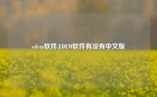 edem软件,EDEM软件有没有中文版