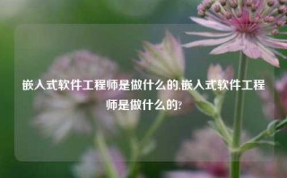 嵌入式软件工程师是做什么的,嵌入式软件工程师是做什么的?