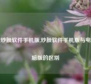 炒股软件手机版,炒股软件手机版与电脑版的区别