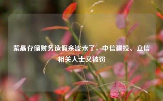 紫晶存储财务造假余波未了，中信建投、立信相关人士又被罚