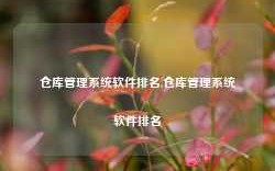 仓库管理系统软件排名,仓库管理系统软件排名