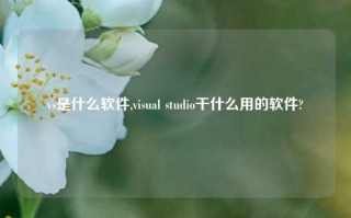 vs是什么软件,visual studio干什么用的软件?