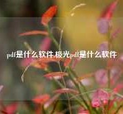 pdf是什么软件,极光pdf是什么软件