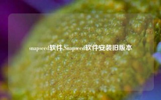 snapseed软件,Snapseed软件安装旧版本