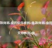 如何将c盘的软件移到d盘,如何将c盘的文件移到d盘