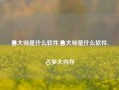 鲁大师是什么软件,鲁大师是什么软件,占多大内存