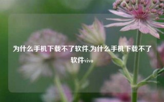 为什么手机下载不了软件,为什么手机下载不了软件vivo