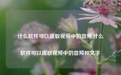 什么软件可以提取视频中的音频,什么软件可以提取视频中的音频和文字