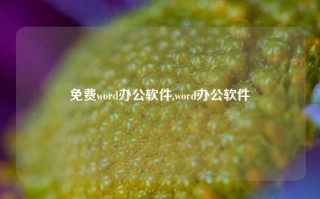 免费word办公软件,word办公软件