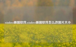 windows画图软件,windows画图软件怎么改图片大小