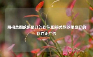 照相美颜效果最好的软件,照相美颜效果最好的软件无广告