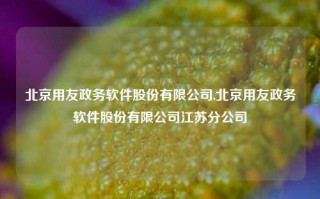 北京用友政务软件股份有限公司,北京用友政务软件股份有限公司江苏分公司