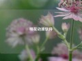 樱花动漫软件