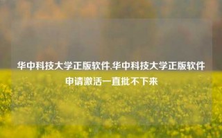 华中科技大学正版软件,华中科技大学正版软件申请激活一直批不下来