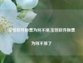 宝信软件股票为何不涨,宝信软件股票为何不涨了