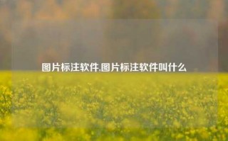 图片标注软件,图片标注软件叫什么