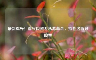 最新曝光！首只险资系私募基金，持仓这两只股票