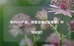 多只FOF产品，调整业绩比较基准，所为何因？