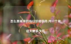 怎么查蔬菜的每日价格软件,开一个菜店大概多少钱