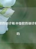 中级软件设计师,中级软件设计师难考吗