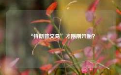 “特朗普交易”才刚刚开始？