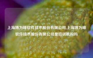 上海博为峰软件技术股份有限公司,上海博为峰软件技术股份有限公司是培训机构吗