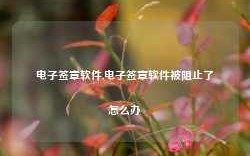 电子签章软件,电子签章软件被阻止了怎么办