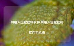 网络人远程控制软件,网络人远程控制软件手机版