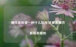 操作系统是一种什么软件,计算机操作系统有哪些