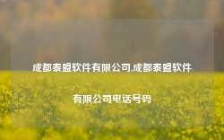 成都泰盟软件有限公司,成都泰盟软件有限公司电话号码