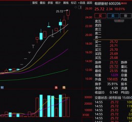 13天8个涨停，有研新材表示固态电池产品收入占比小，提示风险。