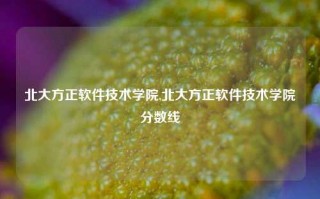 北大方正软件技术学院,北大方正软件技术学院分数线