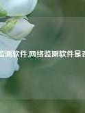 网络监测软件,网络监测软件是否掉线