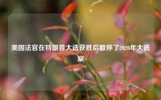 美国法官在特朗普大选获胜后暂停了2020年大选案