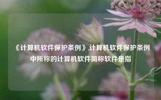 《计算机软件保护条例》,计算机软件保护条例中所称的计算机软件简称软件是指