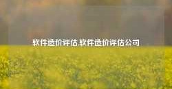 软件造价评估,软件造价评估公司