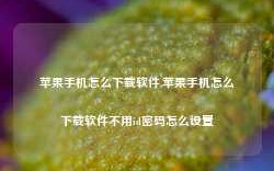 苹果手机怎么下载软件,苹果手机怎么下载软件不用id密码怎么设置