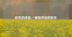 软件的拼音,一键加拼音的软件