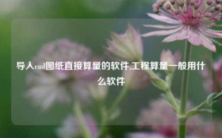 导入cad图纸直接算量的软件,工程算量一般用什么软件