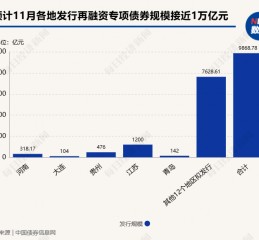 置换存量隐性债务！11月多地披露再融资专项债券发行计划，单日最高计划发行规模达3629亿元