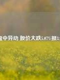 灿谷盘中异动 股价大跌5.07%报3.93美元